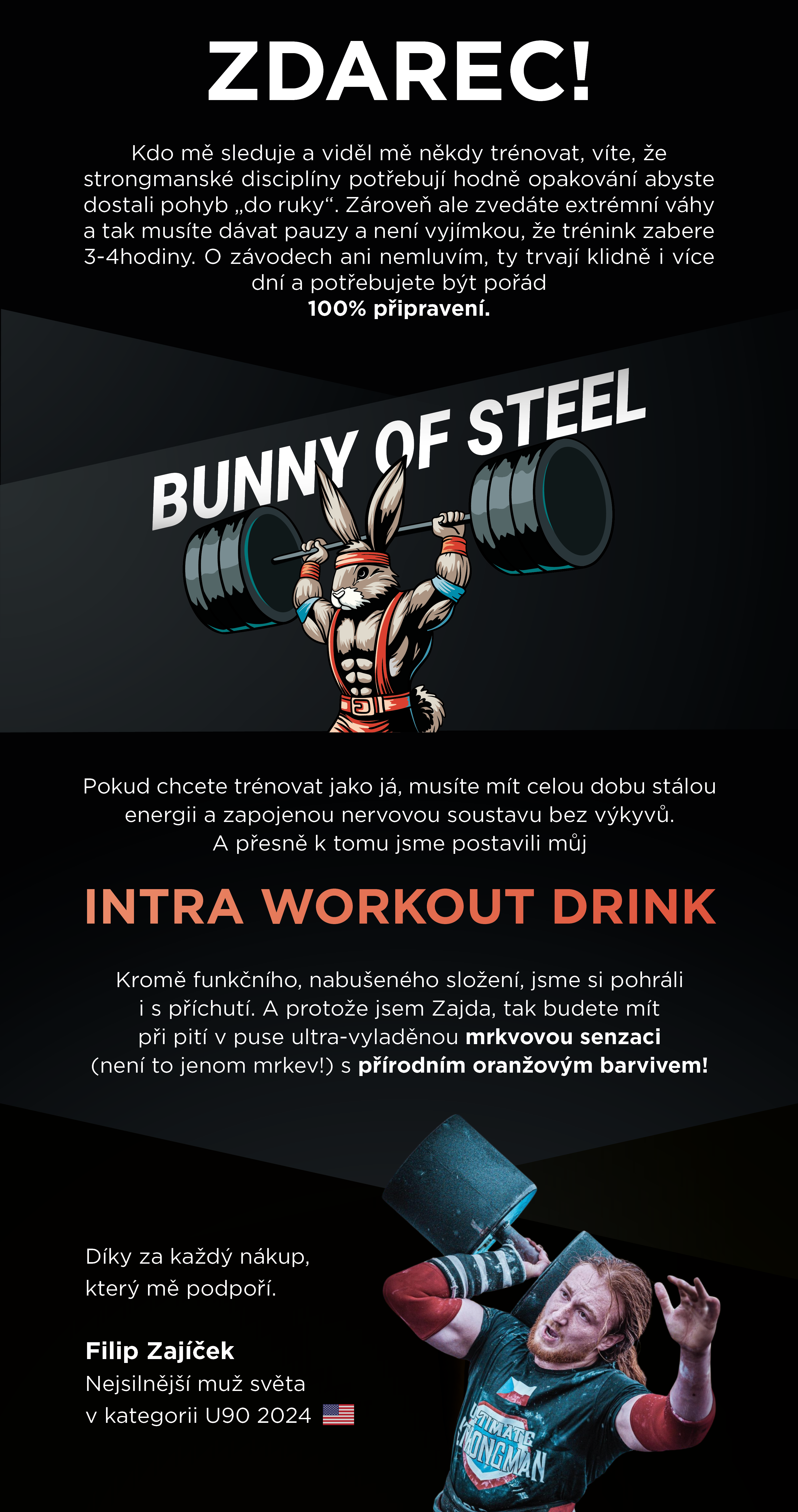 Bunny of steel web2 (1)